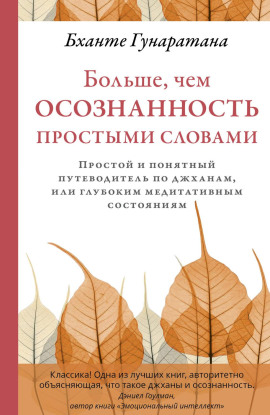 Книга Больше, чем осознанность простыми словами. Простой и понятный путеводитель по джханам, или глубоким медитативным состояниям